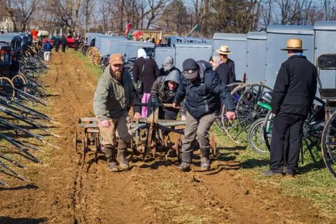 Pulling Plow in Muddy Field Stock Photos