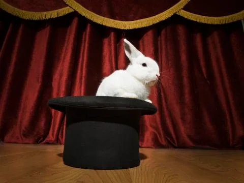 Pulling a rabbit out of a hat. Stock Photos
