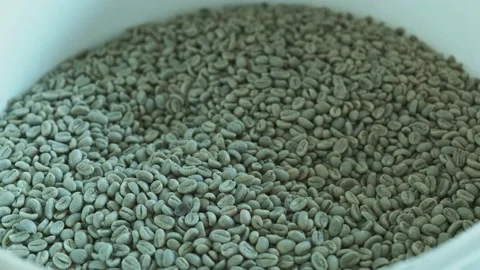 Pulling raw coffee beans out of the container using a spatula. Stock Footage 142011942
