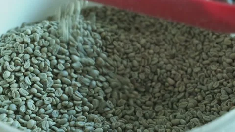 Pulling raw coffee beans out of the container. Vídeos de archivo 142011970
