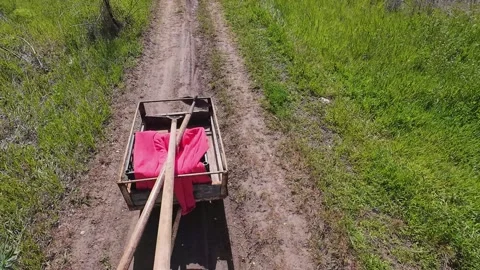 Pulling Rustic Wooden Cart Along Rural Dirt Road in Sunny Countryside 스톡 동영상 335075998