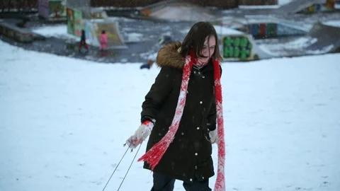 Pulling a Sled up the Hill Stock Footage 91137725