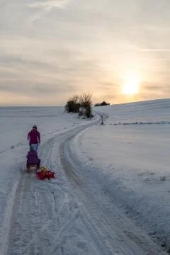 Pulling up a sled at snow Foto stock