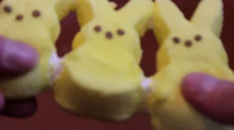 Pulling Three Marshmallow Peeps Candies and One Comes off Видео 63012974