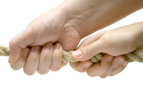 Pulling Together Isolated on a White Background Stockfoto's