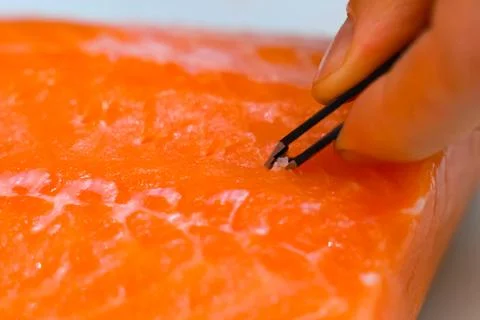 Pulling tweezers of small bones from piece of red fish. Stock Photos