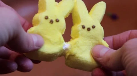 Pulling Two Marshmallow Peeps Candies and One Comes off Stock Footage 63013228