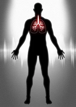 Pulmonary Stock Illustration