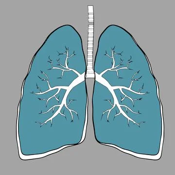 Pulmonology illustration. Flat tiny lungs healthcare persons concept. Abstract 스톡 일러스트