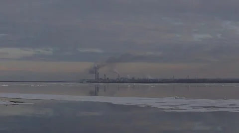 Pulp and Paper Mill Stock Footage 49483186