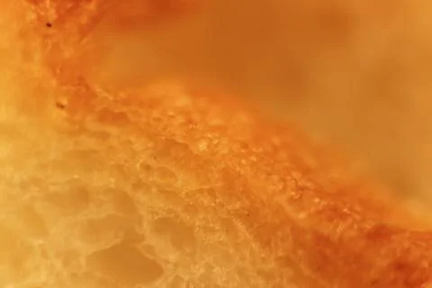 Pulp of bread macro closeup. Texture background. Slice section. Corner. Stock Photos