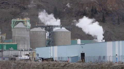 Pulp mill with exhaust emissions Stock Footage 103347483