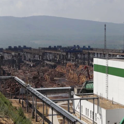 Pulp mill. Forest Warehouse Vídeo Stock 69547677