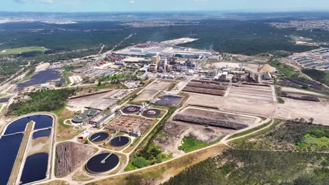 Pulp mill industrial complex producing cellulose from wood Stock Footage 340311465