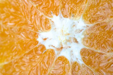 Pulp of orange. orange close-up. Stock Photos