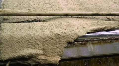 Pulp production. Washing and bleaching of softwood pulp. Paper production Stockbeeldmateriaal 296806881