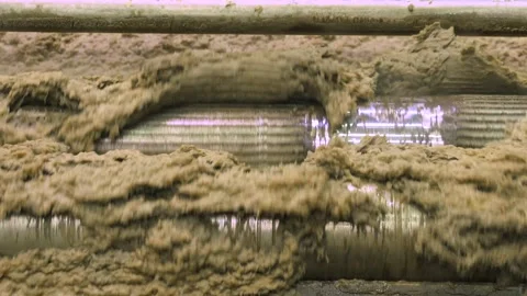 Pulp production. Washing and bleaching of softwood pulp. Paper production Stockbeeldmateriaal 296887250