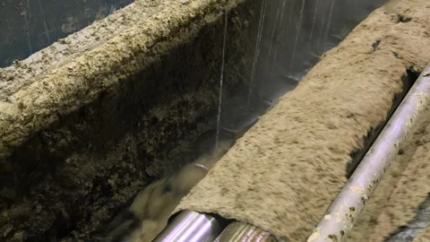 Pulp production. Washing and bleaching of softwood pulp. Paper production Stockbeeldmateriaal 296887294