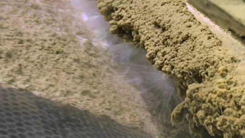 Pulp production. Washing and bleaching of softwood pulp. Paper production Stockbeeldmateriaal 296889095