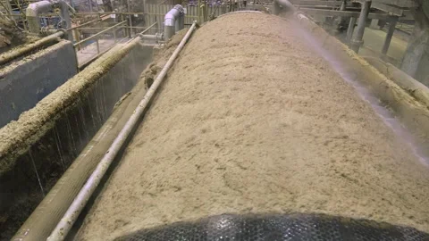 Pulp production. Washing and bleaching of softwood pulp. Paper production Stockbeeldmateriaal 296890067