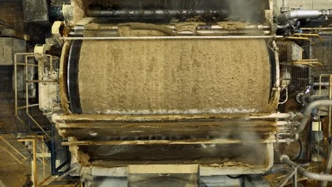 Pulp production. Washing and bleaching of softwood pulp. Paper production Video stock 296890786
