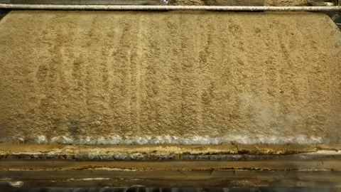 Pulp production. Washing and bleaching of softwood pulp. Paper production Video stock 296896433