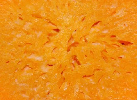 Pulp of the pumpkin. 스톡 사진