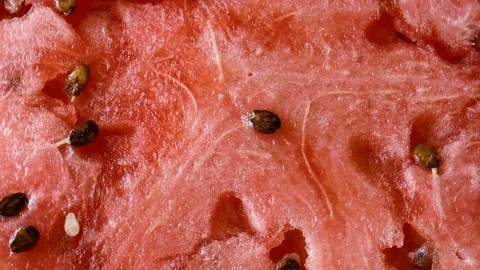 Pulp of watermelon Stock Footage 79848276