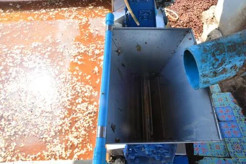 Pulping The Coffee Berry ** note select focus with shallow depth of field Stock Photos