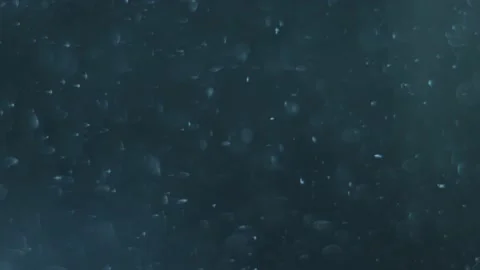Pulsating fliud with air bubbles abstract background Stock Footage 188233540