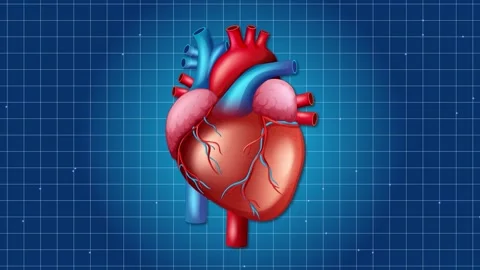 Pulsating Heart Animation on Blue Grid Background Stockbeeldmateriaal 306905308