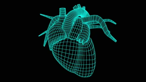 Pulsating Heart with wire frame animation Stock-Footage 138582571