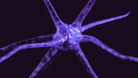 The pulsating light of a neuron on a black background Stock-Footage 109495161