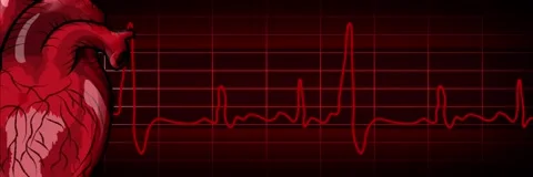 Pulse with beating heart in red background.Loop. Stock Footage 170981085