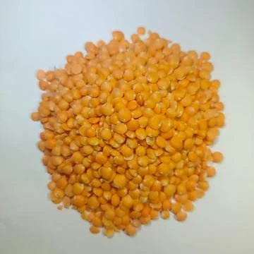PULSES DAY CAPTURE IMAGE Stock Photos