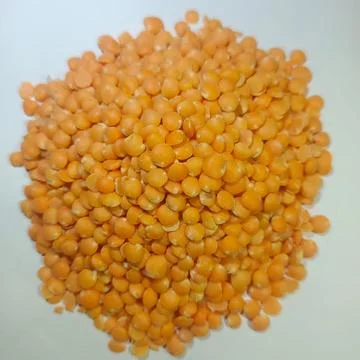 PULSES IMAGE Stock Photos