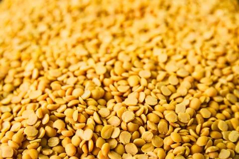 Pulses Stock Photos