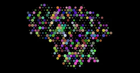 Pulsing Circles Create Map of Lithuania Stock Footage 312475558