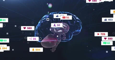 Pulsing clear 3D brain model interacting with floating notification bubbles in Stock Photos