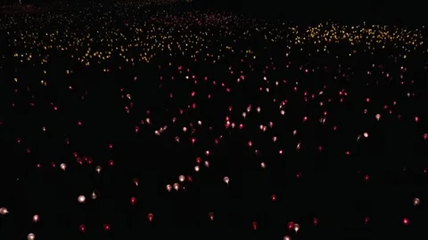 Pulsing Dark Lights Stock Footage 272151920