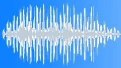 Pulsing Engine Sound Effect