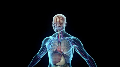 Pulsing Head Stock Footage 7751098