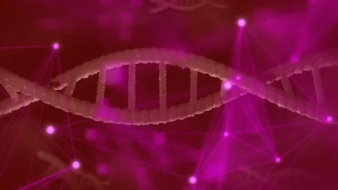 Pulsing magenta causing DNA helix swaying, moving close as nodes pulsing, Stock Footage 335651943