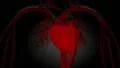 Pulsing red heart HD Footage