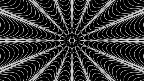 Pulsing spider web net pattern on black background loop. Creative hypnotic .. Stock Footage 229518571