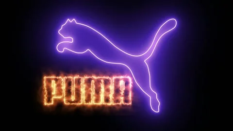 Puma 1 Depht Stock Footage 194939272