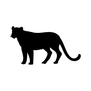 Puma black silhouette, flat vector illustration isolated on white background. Stock Illustration