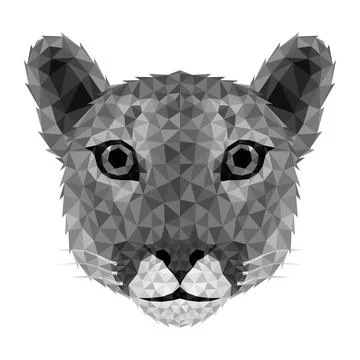 Puma cougar Low poly. Low poly Puma face Stock Illustration