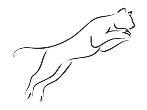 Puma Stock Illustration