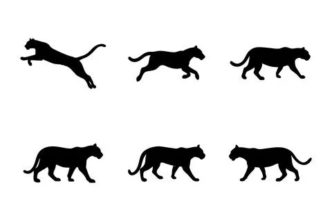 Puma silhouette set Illustrazione stock